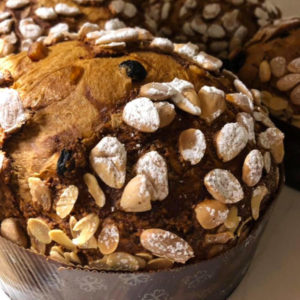 Italian Panettone Bakery Il Magnifico Siena